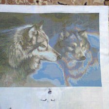 Работа «Пара волков»