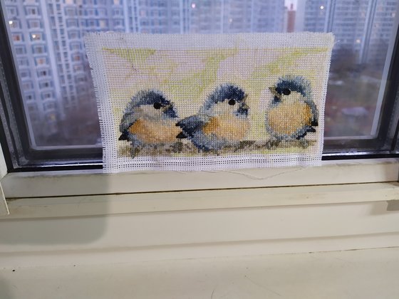 Работа «А кормушки нам повесили? Пора!»