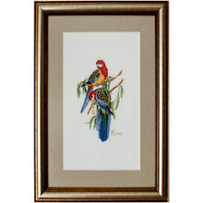 Работа ««Разноцветные попугаи»»