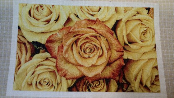 Работа «Sárga rózsák»