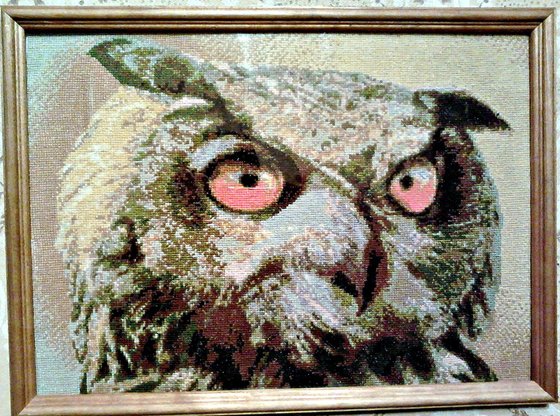 Работа «Сова(или филин))»