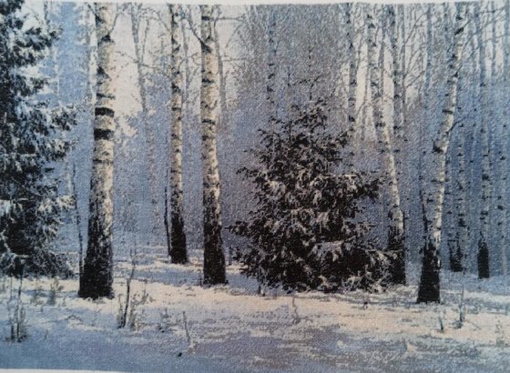 Работа «В лесу родилась елочка»