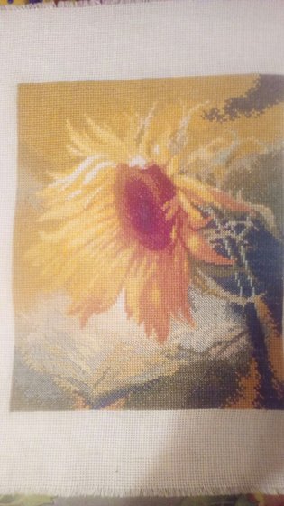 Работа «Подсолнух»