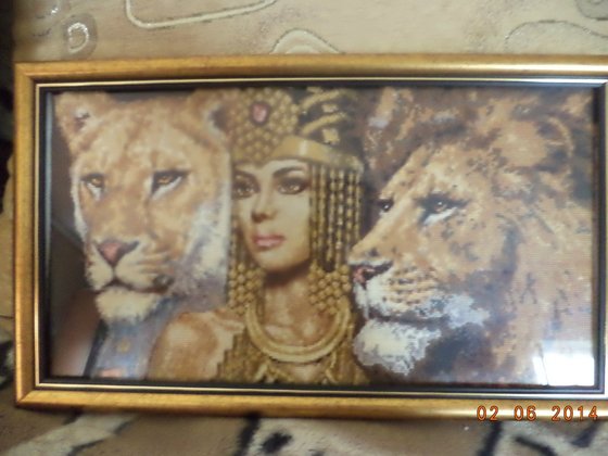 Работа «Амазонка»