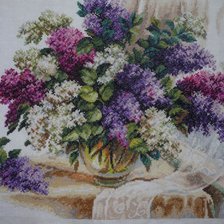 Работа «АРОМАТ СИРЕНИ»