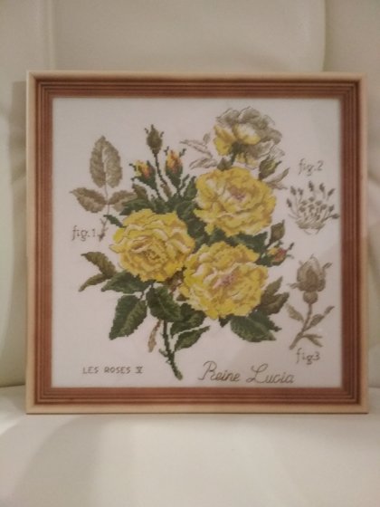 Работа «роза "Reine Lucia".ботанический этюд V.Enginger»