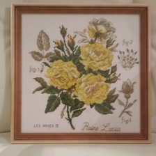 Работа «роза "Reine Lucia".ботанический этюд V.Enginger»