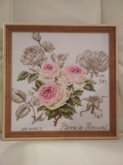 Работа «роза "Пьер де Ронсар".ботанический этюд V.Enginger»