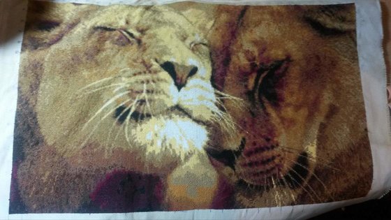 Работа «Львы»