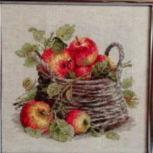 Работа «Яблоки»