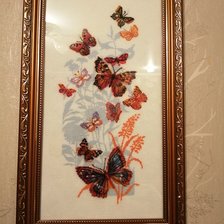 Работа «Бабочки России»