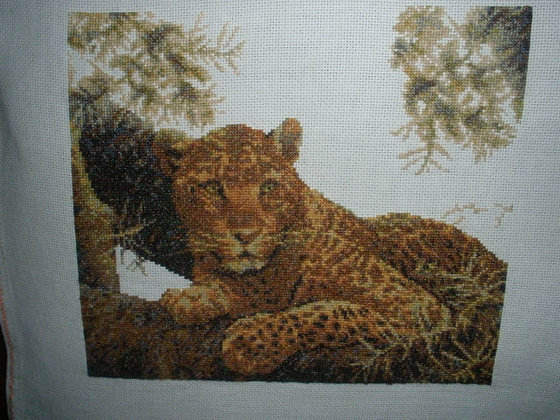 Работа «Леопард»