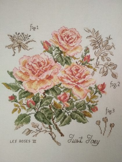 Работа «роза "Just Joey" ботанический этюд V.Enginger»