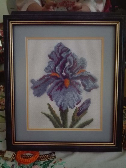 Работа «Ирис»