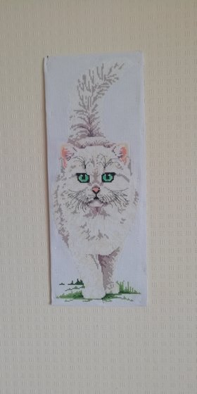 Работа «Котик»