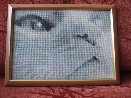 Работа «кот»