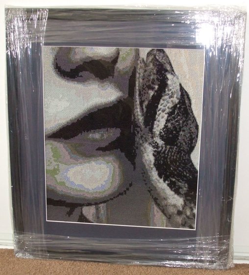 Работа «прикосновение змейи»