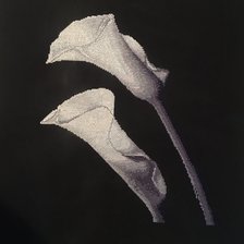 Работа «№87532»