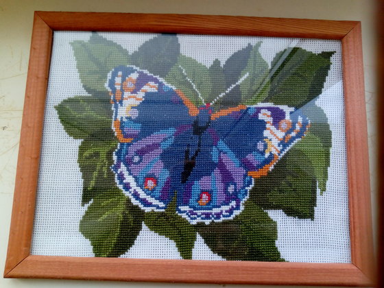 Работа «Бабочка»