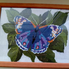 Работа «Бабочка»