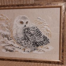 Работа «Совушка»