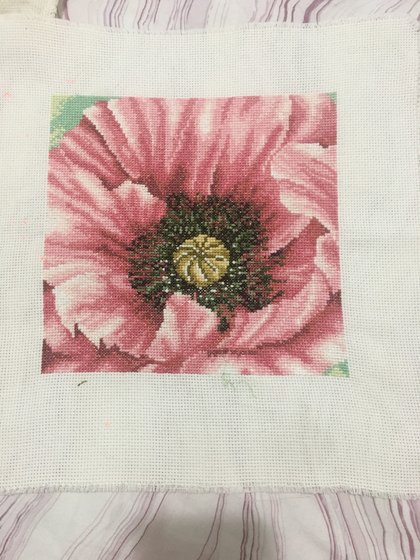 Работа «№87736»