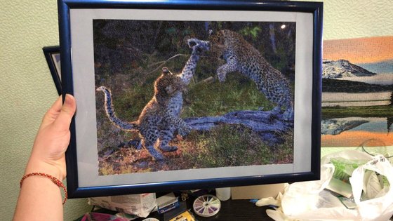 Работа «Малыши»