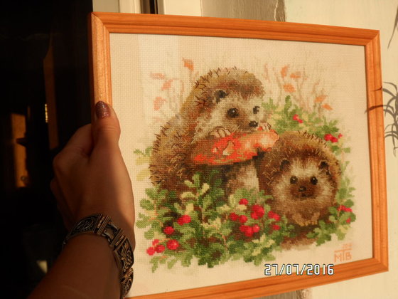 Работа «Ёжики в бруснике(Риолис)»