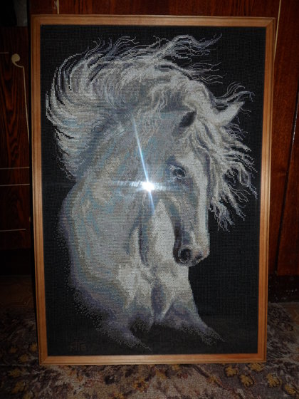 Работа «Андалузский характер(Риолис)»