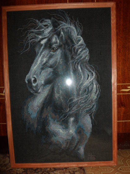 Работа «Ветер в гриве(Риолис)»