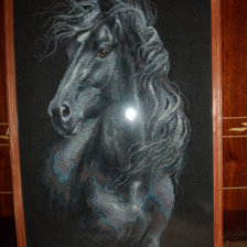 Работа «Ветер в гриве(Риолис)»