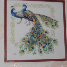 Работа «Пара павлинов (Риолис)»