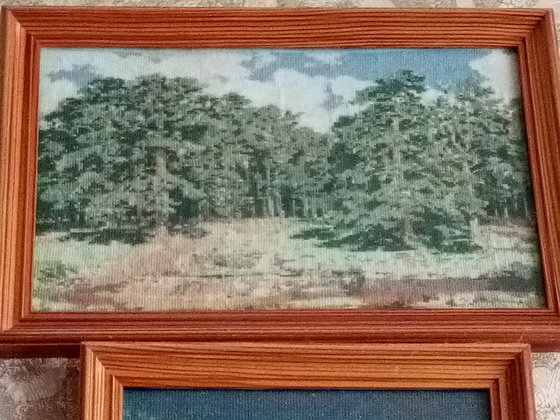 Работа «на опушке»