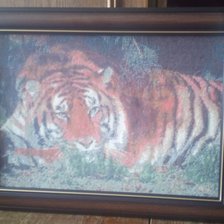 Работа «Тигр»