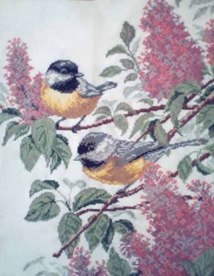 Работа «Синицы»