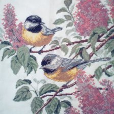 Работа «Синицы»