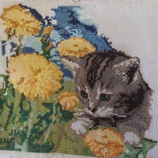 Работа «Мур»