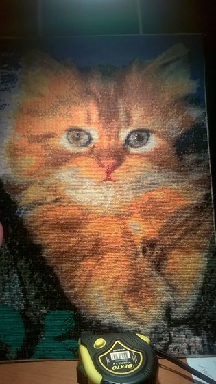 Работа «Котэ»