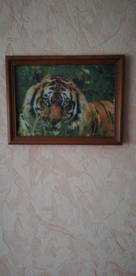 Работа «Тигр»