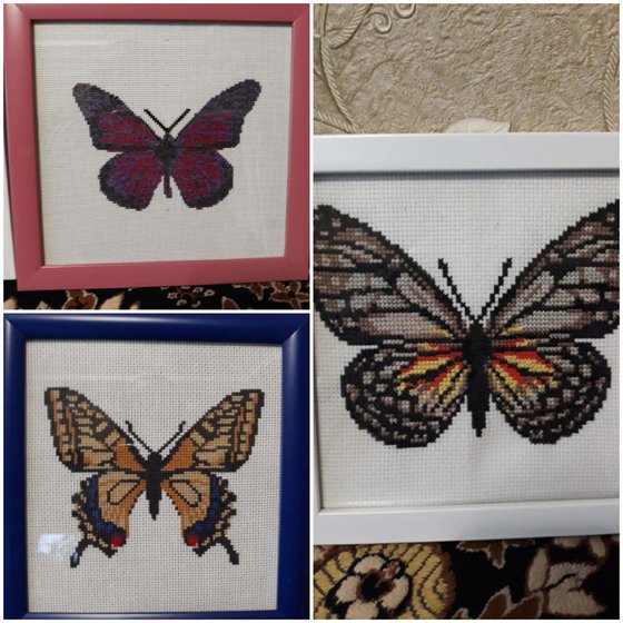 Работа «Бабочки»