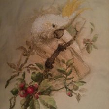 Работа «попугай»