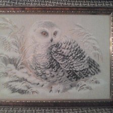 Работа «сова»