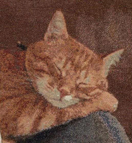 Работа «Любимый кот Кубик»