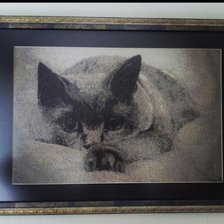 Работа «Кот»