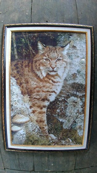 Работа «Карл.Брендерс. Лесной часовой»