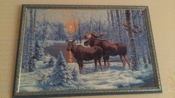 Работа «Рассвет в зимнем лесу»