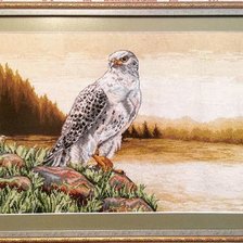 Работа «Птица»