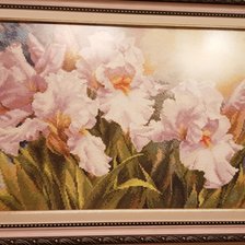Работа «Ирисы»