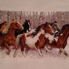 Работа «Свободный  бег лошадей»