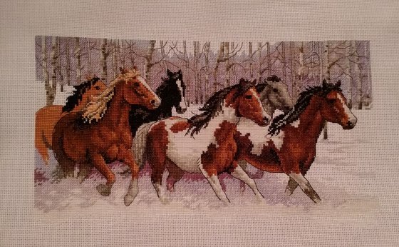 Работа «Свободный  бег лошадей»